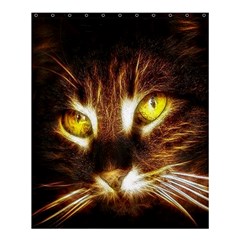 Cat Face Shower Curtain 60  X 72  (medium)  by BangZart