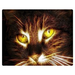 Cat Face Double Sided Flano Blanket (medium) 