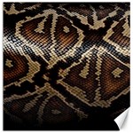 Snake Skin Olay Canvas 20  x 20   19 x19.27  Canvas - 1