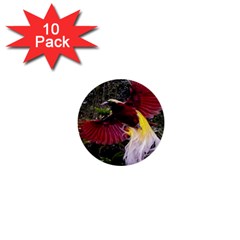 Cendrawasih Beautiful Bird Of Paradise 1  Mini Buttons (10 Pack)  by BangZart