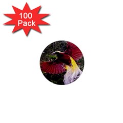 Cendrawasih Beautiful Bird Of Paradise 1  Mini Magnets (100 Pack)  by BangZart