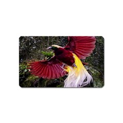 Cendrawasih Beautiful Bird Of Paradise Magnet (name Card) by BangZart