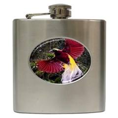 Cendrawasih Beautiful Bird Of Paradise Hip Flask (6 Oz) by BangZart