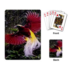 Cendrawasih Beautiful Bird Of Paradise Playing Card by BangZart