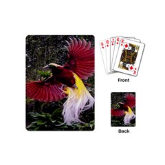 Cendrawasih Beautiful Bird Of Paradise Playing Cards (mini)  by BangZart