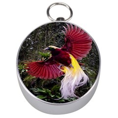Cendrawasih Beautiful Bird Of Paradise Silver Compasses