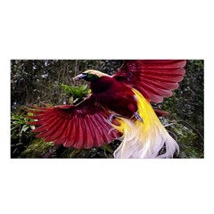 Cendrawasih Beautiful Bird Of Paradise Satin Shawl