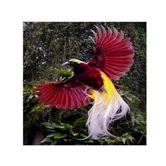 Cendrawasih Beautiful Bird Of Paradise Small Satin Scarf (square)