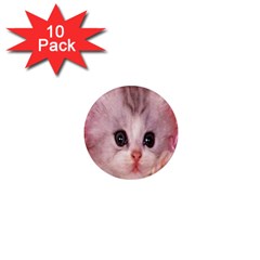 Cat  Animal  Kitten  Pet 1  Mini Magnet (10 Pack)  by BangZart