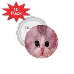 Cat  Animal  Kitten  Pet 1 75  Buttons (10 Pack) by BangZart