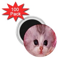 Cat  Animal  Kitten  Pet 1 75  Magnets (100 Pack)  by BangZart