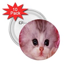 Cat  Animal  Kitten  Pet 2 25  Buttons (10 Pack)  by BangZart