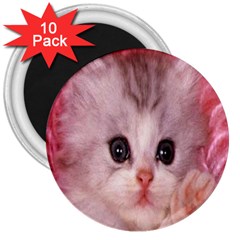 Cat  Animal  Kitten  Pet 3  Magnets (10 Pack)  by BangZart