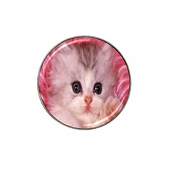 Cat  Animal  Kitten  Pet Hat Clip Ball Marker (10 Pack) by BangZart