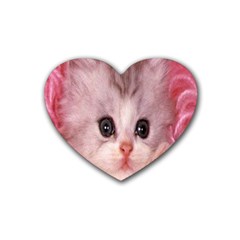 Cat  Animal  Kitten  Pet Heart Coaster (4 Pack)  by BangZart