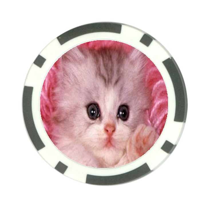 Cat  Animal  Kitten  Pet Poker Chip Card Guard (10 pack)