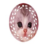 Cat  Animal  Kitten  Pet Oval Filigree Ornament (Two Sides) Front