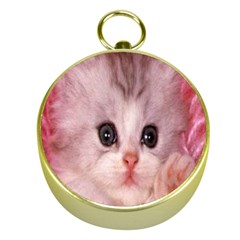 Cat  Animal  Kitten  Pet Gold Compasses