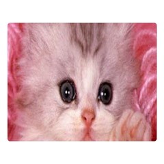 Cat  Animal  Kitten  Pet Double Sided Flano Blanket (large) 