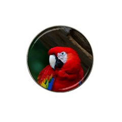 Scarlet Macaw Bird Hat Clip Ball Marker by BangZart