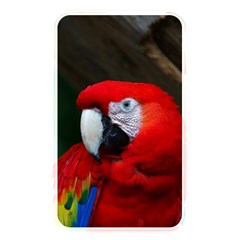 Scarlet Macaw Bird Memory Card Reader by BangZart