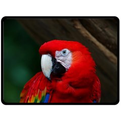 Scarlet Macaw Bird Fleece Blanket (large)  by BangZart