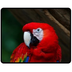 Scarlet Macaw Bird Fleece Blanket (medium)  by BangZart