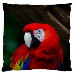 Scarlet Macaw Bird Large Cushion Case (two Sides) by BangZart