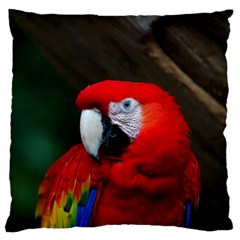Scarlet Macaw Bird Large Flano Cushion Case (one Side)