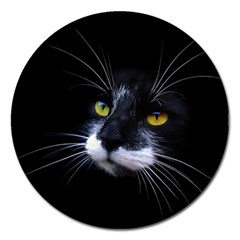 Face Black Cat Magnet 5  (round) by BangZart
