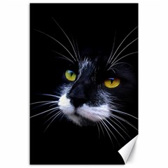 Face Black Cat Canvas 24  X 36  by BangZart