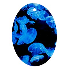 Jellyfish  Ornament (oval) by Valentinaart