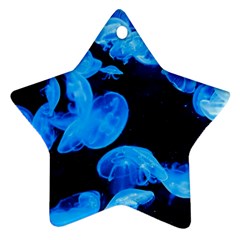 Jellyfish  Ornament (star) by Valentinaart
