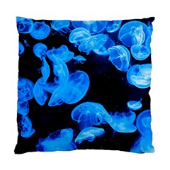 Jellyfish  Standard Cushion Case (two Sides) by Valentinaart