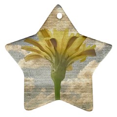 Shabby Chic Style Flower Over Blue Sky Photo  Ornament (star)