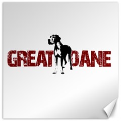 Great Dane Canvas 20  x 20  