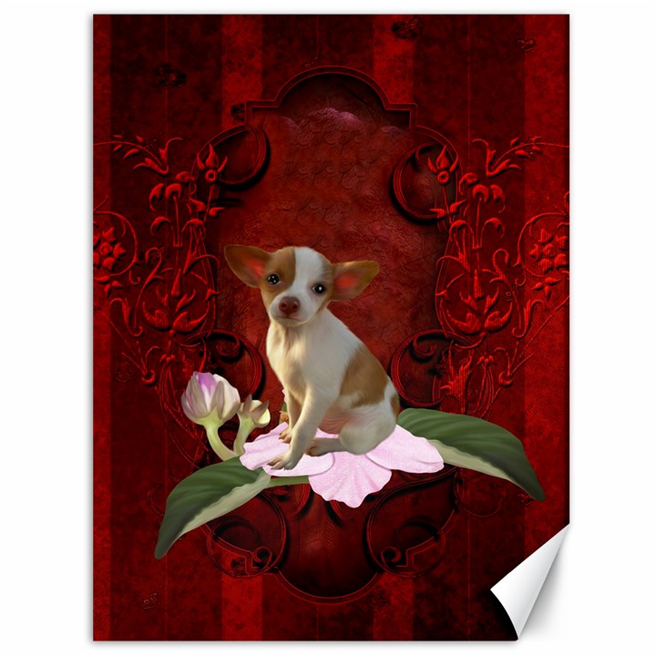 Sweet Little Chihuahua Canvas 36  x 48  