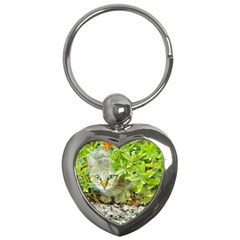 Hidden Domestic Cat With Alert Expression Key Chains (heart)  by dflcprints