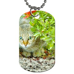 Hidden Domestic Cat With Alert Expression Dog Tag (one Side) by dflcprints