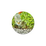 Hidden Domestic Cat With Alert Expression Golf Ball Marker (10 pack) Front