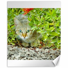 Hidden Domestic Cat With Alert Expression Canvas 11  X 14   by dflcprints