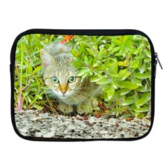 Hidden Domestic Cat With Alert Expression Apple Ipad 2/3/4 Zipper Cases by dflcprints