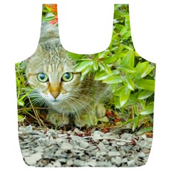 Hidden Domestic Cat With Alert Expression Full Print Recycle Bags (l)  by dflcprints