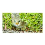 Hidden Domestic Cat With Alert Expression Satin Wrap Front