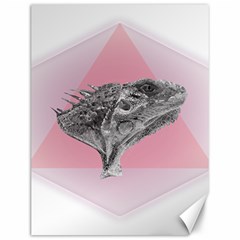 Lizard Hexagon Rosa Mandala Emblem Canvas 12  X 16   by Nexatart