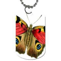 Butterfly Bright Vintage Drawing Dog Tag (two Sides) by Nexatart