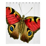 Butterfly Bright Vintage Drawing Shower Curtain 60  x 72  (Medium)  60 x72  Curtain