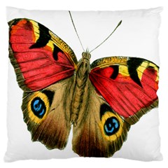 Butterfly Bright Vintage Drawing Large Cushion Case (one Side) by Nexatart