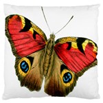 Butterfly Bright Vintage Drawing Large Flano Cushion Case (Two Sides) Front
