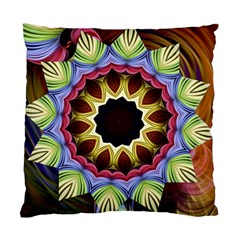 Love Energy Mandala Standard Cushion Case (two Sides) by designworld65